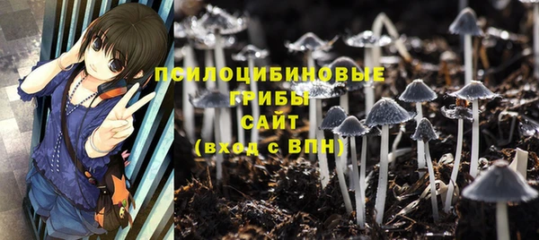 spice Арсеньев