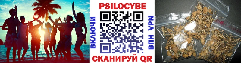 Галлюциногенные грибы MAGIC MUSHROOMS Бакал